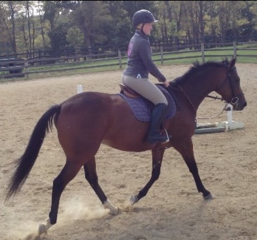 iEquitateJPRD's profile picture. 