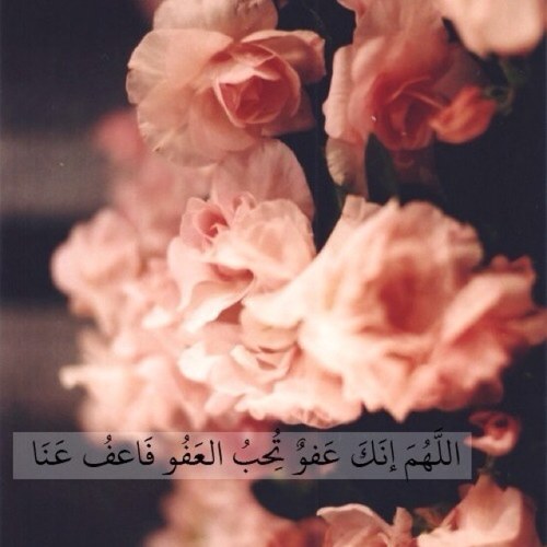 أحمل في داخلي روح أنثى لا تهزم؛وأحمل وفاء وصدقاً؛حساسه أكثر  من اللازم هاادئہ ومزااجيتي من نوعع : فاخر لست مثاليه و |[ لكنني  طاهره والطهر أجمل..! |]♡