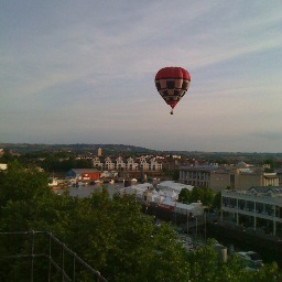 jjane101's profile picture. chi tardi arriva male alloggia