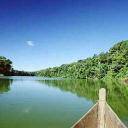 T_madrededios's profile picture. Página que promueve el turismo a Madre de Dios,uno de los departamentos del Perú.
#Usmp