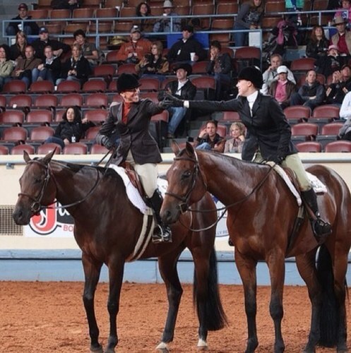 Just a girl with a dream of showing at Worlds... just have to finish my 6 year contract with the U.S. Army first. Stationed in Germany. #EquestrianRules