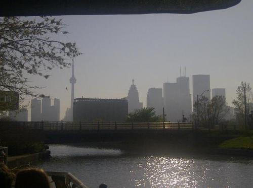 aswanton77's profile picture. 