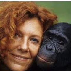 Lola_YaBonobo's profile picture. Association animalière, soutenant la cause des Bonobos. Fondatrice : Claudine André