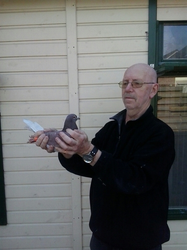 jokehelmholt's profile picture. 