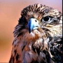 قروب لزيادة متابعينك - @RonPacheco2 - Twitter