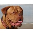 john rademaker - @johnrademaker2 - Twitter