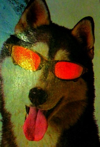 createscience49's profile picture. 