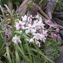 Desiree Bell - @dbell_23 - Twitter