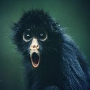 Billy Simmons  - @guitardude4213 - Twitter