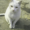 Eva Quintana - @EveQueen6 - Twitter