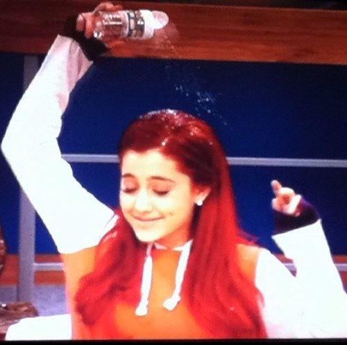 _CatTalks_'s profile picture. I talk Cat Valentines