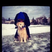 jeremy mol (@mol_jeremy) 's Twitter Profile