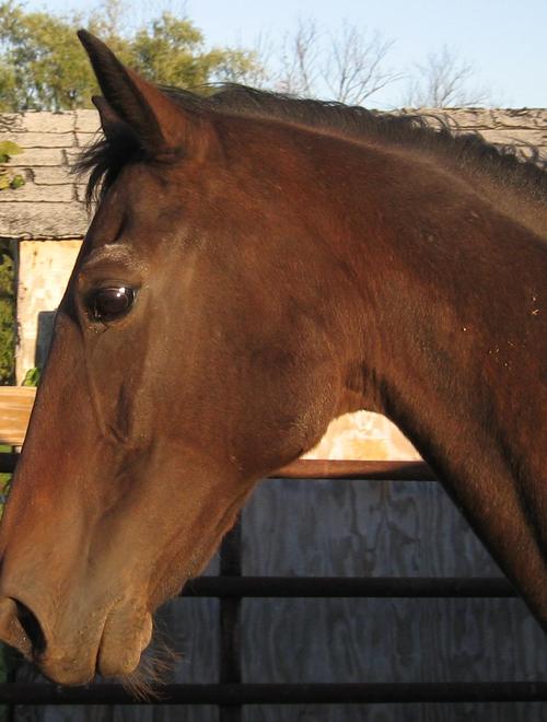 zm02009's profile picture. 