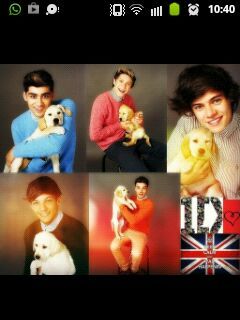 allemaal nieuws,foto's,leuke koopjes en weetjes over one direction