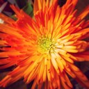 Justine Burke - @BurkeJustine - Twitter