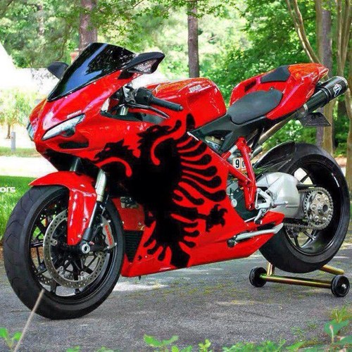 seriallover069's profile picture. 