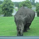 John peterson - @johnojohno123 - Twitter