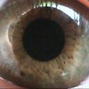 bob bales - @bobdaguy - Twitter