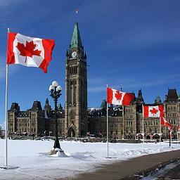 PHammermill's profile picture. 