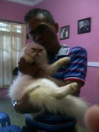 Jhie Petshop Jember di Alamat; Jl. Letjen Panjaitan 170 Sumbersari ( barat lampu merah perhutani/ samping Alfamart panjaitan ) menjual pakan kucing,anjing dll