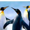 jose oria - @joseoria3 - Twitter