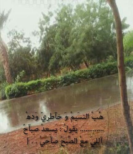 هلا  فيكم  فحل من الجنوب  اعشق انساء