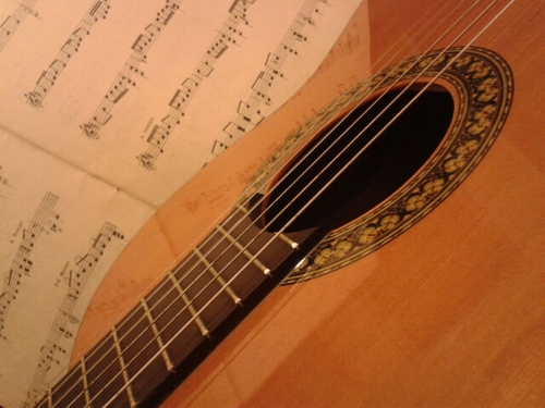 pedrotemusic's profile picture. 