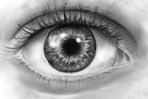 Young Artist | YouTuber | #TeamFollowBack | #Artist