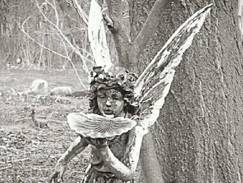 Faery Loving* Tree Hugging* Free Forty~Something* Cat Worshiper* Photographer of Nature and All things Beautiful*