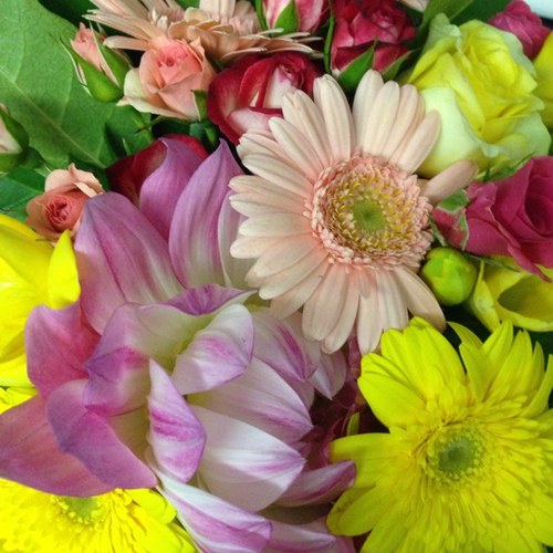 Mako_Monica's profile picture. 