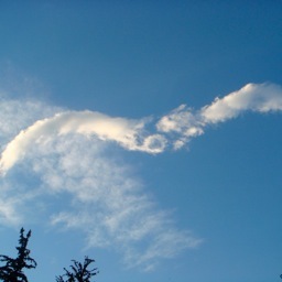 almost1person's profile picture. 