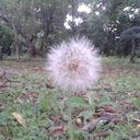 leandro rivera - @leandro12320 - Twitter