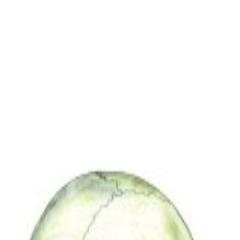 kimdongjunet's profile picture. ANDROIp