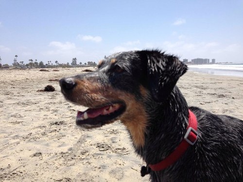 TRexr4Kids's profile picture. 