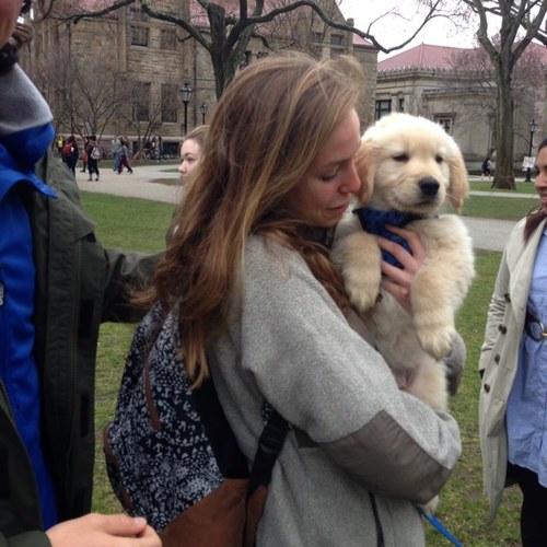 CrystalRosatti's profile picture. #musician, flower spotter, & believer in #business as a force for good.