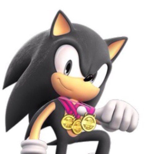 NathanHedgie's profile picture. The name's Nathan! I am a Super hedgehog with a soul of silver. #Married to @SashaWolf55 I love her with all my heart. I will do everything to make her happy!