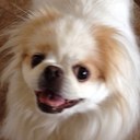 Julie Fields - @TravelMance - Twitter