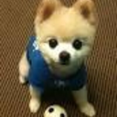 かわいい犬猫bot Kawaiiomoshiro Twitter