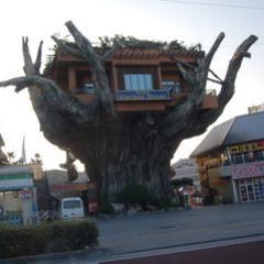 奇妙奇天烈な珍百景の画像を配信します。