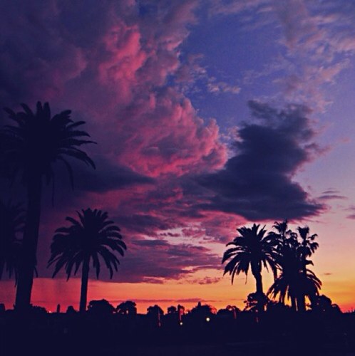 brunette__ca's profile picture. Just going with the flow in the Sunshine State. ☀