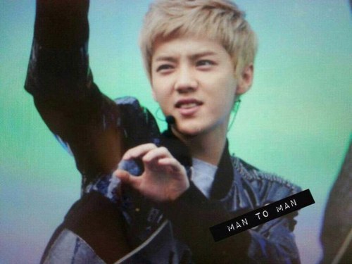 엑소.엑소엠./*루한.鹿晗.Lu Han. bot
