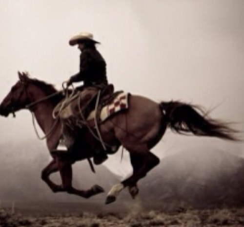 chancenray's profile picture. Agricultural Engineer and Political/Legislative/Organizing Operative. Thoughts and approvals are all my own.