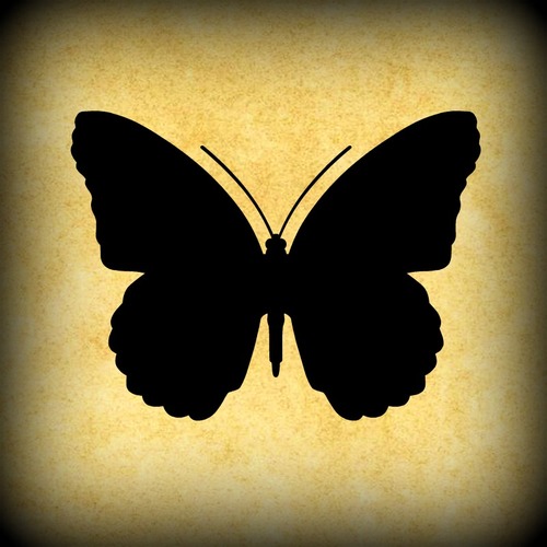 SincerelyCiarra Profile Picture