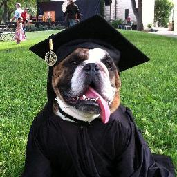 TLULouie's profile picture. Biggest fan and follower of Texas Lutheran University,            it's students and staff.