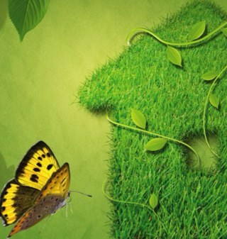 Todo sobre las ecotecnologias y comentarios sobre los proveedores autorizados del Infonavit.