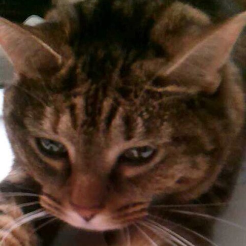 kayciehaller's profile picture. 