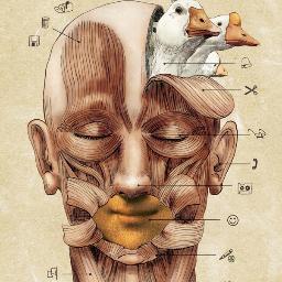 artista visual dedicado a la ilustración y la pintura. Bogotá - Colombia. http://t.co/qMzT0XsJ