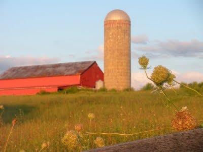 Foursistersfarm's profile picture. 