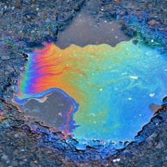 dylbb's profile picture. 