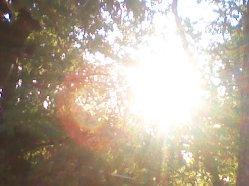 sfontenot66's profile picture. 